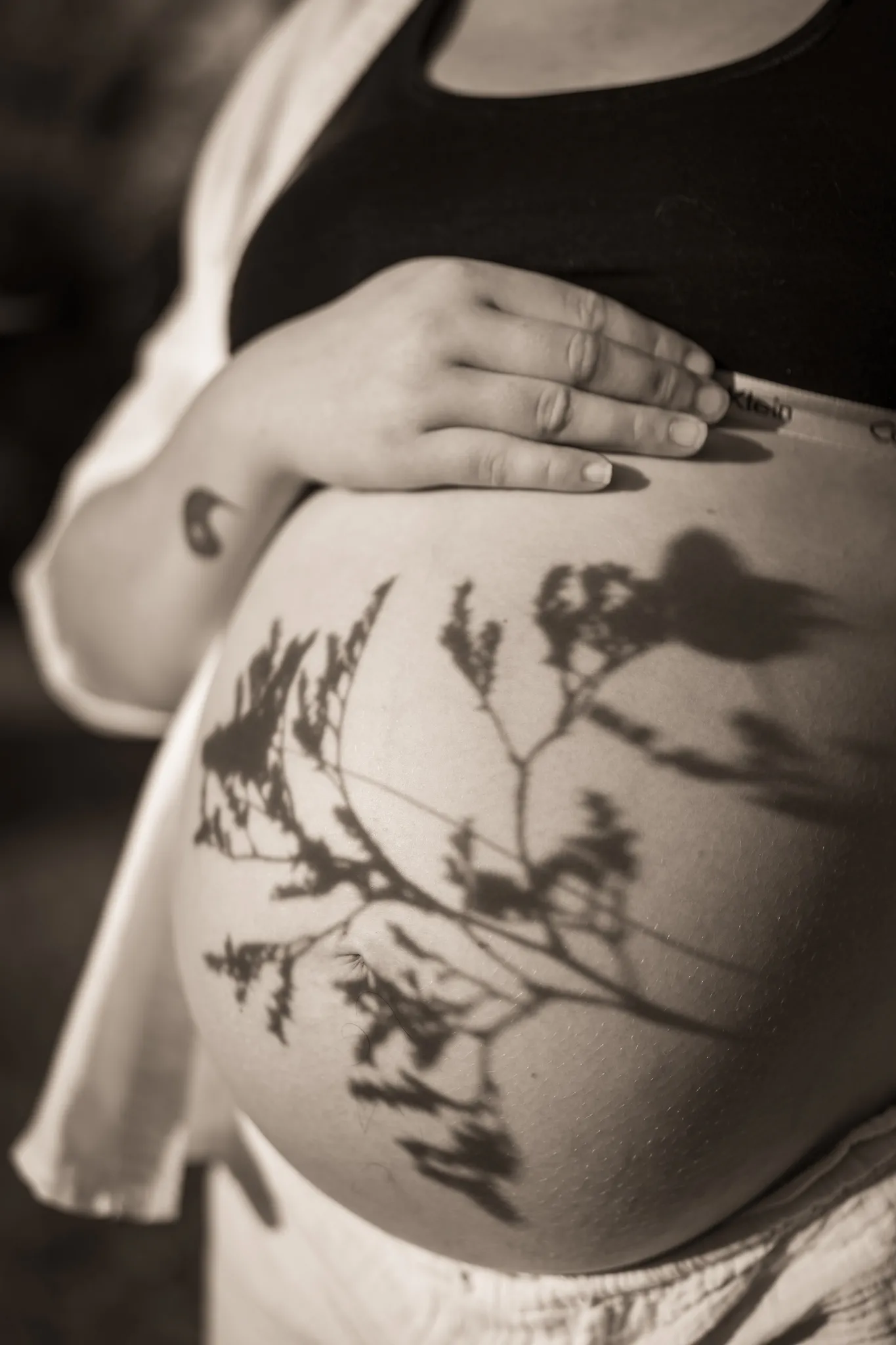 Ventre de grossesse dénudé avec ombre feuillage dessus.