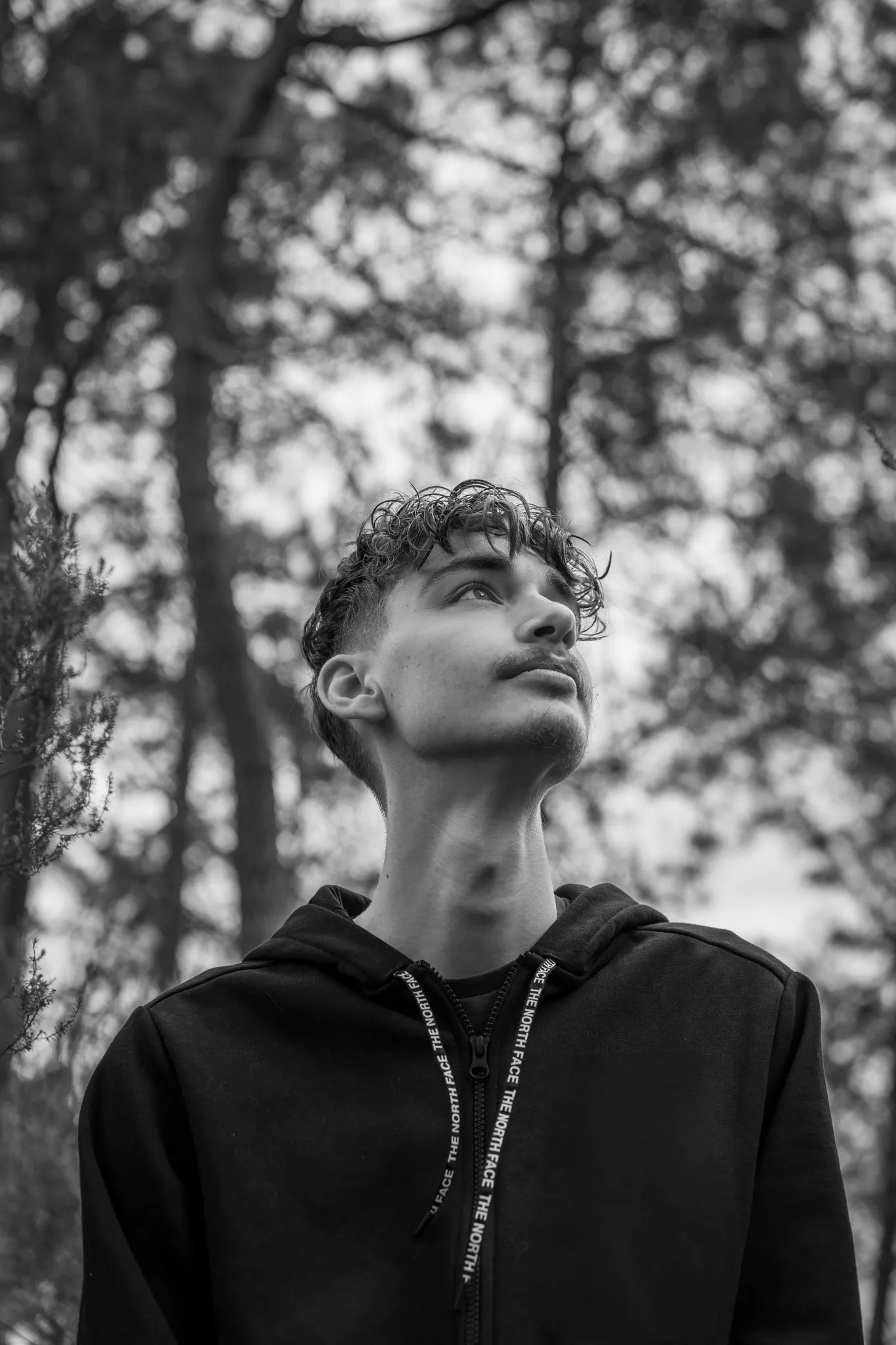 Homme jeune, regardant le ciel sur fond forestier, noir et blanc.